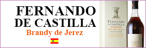 Fernando de Castilla